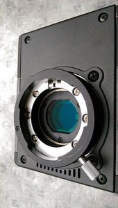 bayonetab4 bayonetab4